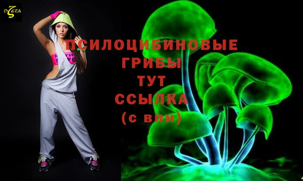 сатива Бронницы
