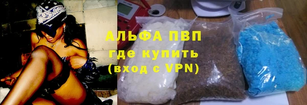 ПСИЛОЦИБИНОВЫЕ ГРИБЫ Бородино