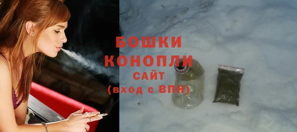 сатива Бронницы