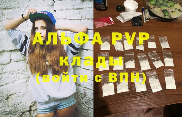 ПСИЛОЦИБИНОВЫЕ ГРИБЫ Бородино