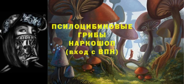 дмт Бугульма