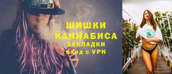 ПСИЛОЦИБИНОВЫЕ ГРИБЫ Бородино