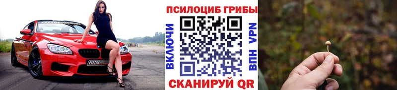 Купить  Тетюши  Псилоцибиновые грибы мицелий 